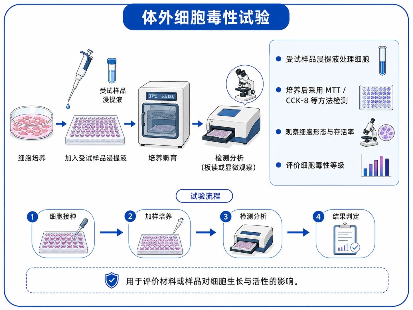 体外细胞毒性