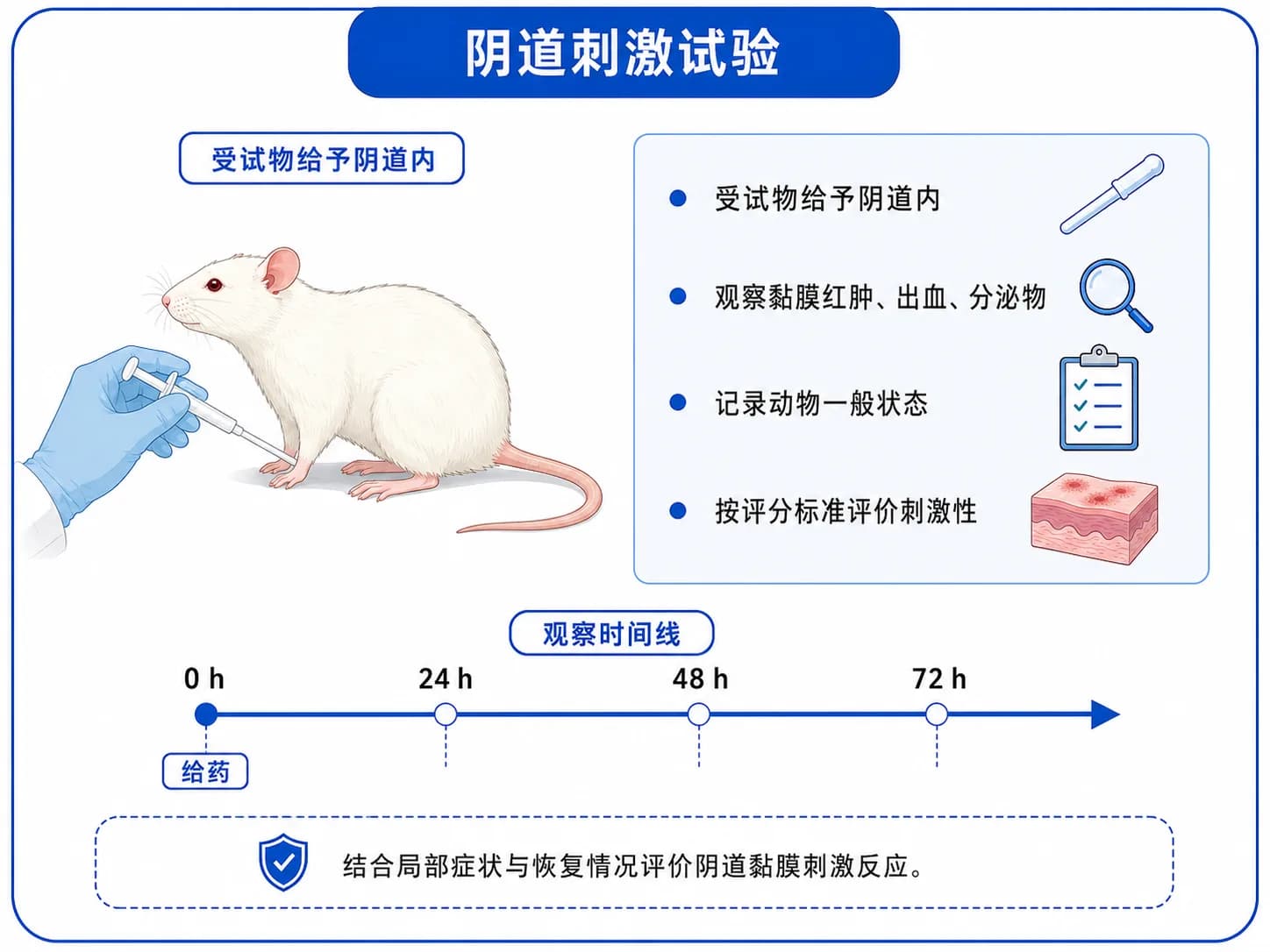 阴道刺激实验