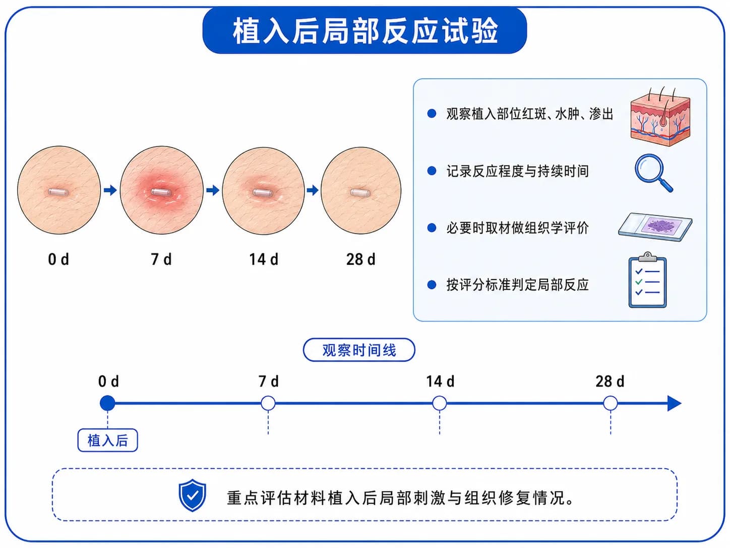 植入后局部反应实验