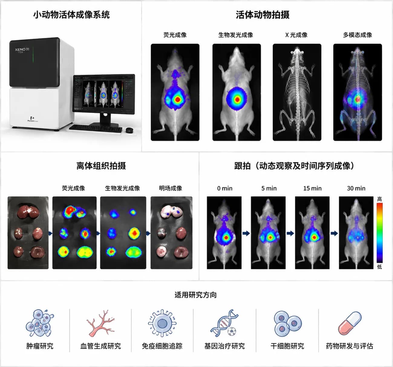 动物活体成像系统设备