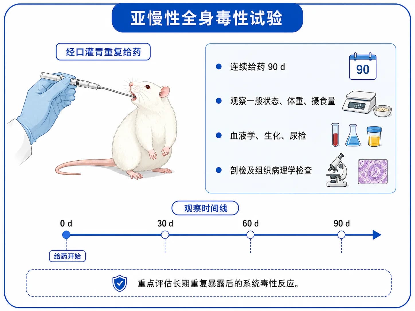 亚慢性全身毒性