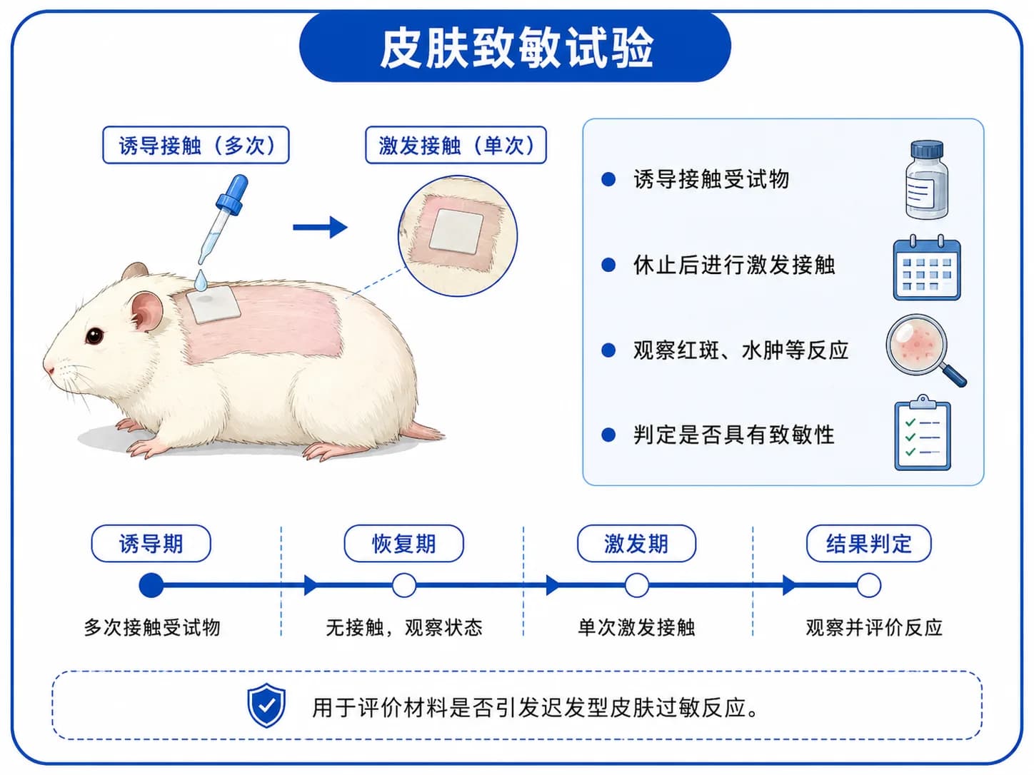 皮肤致密实验