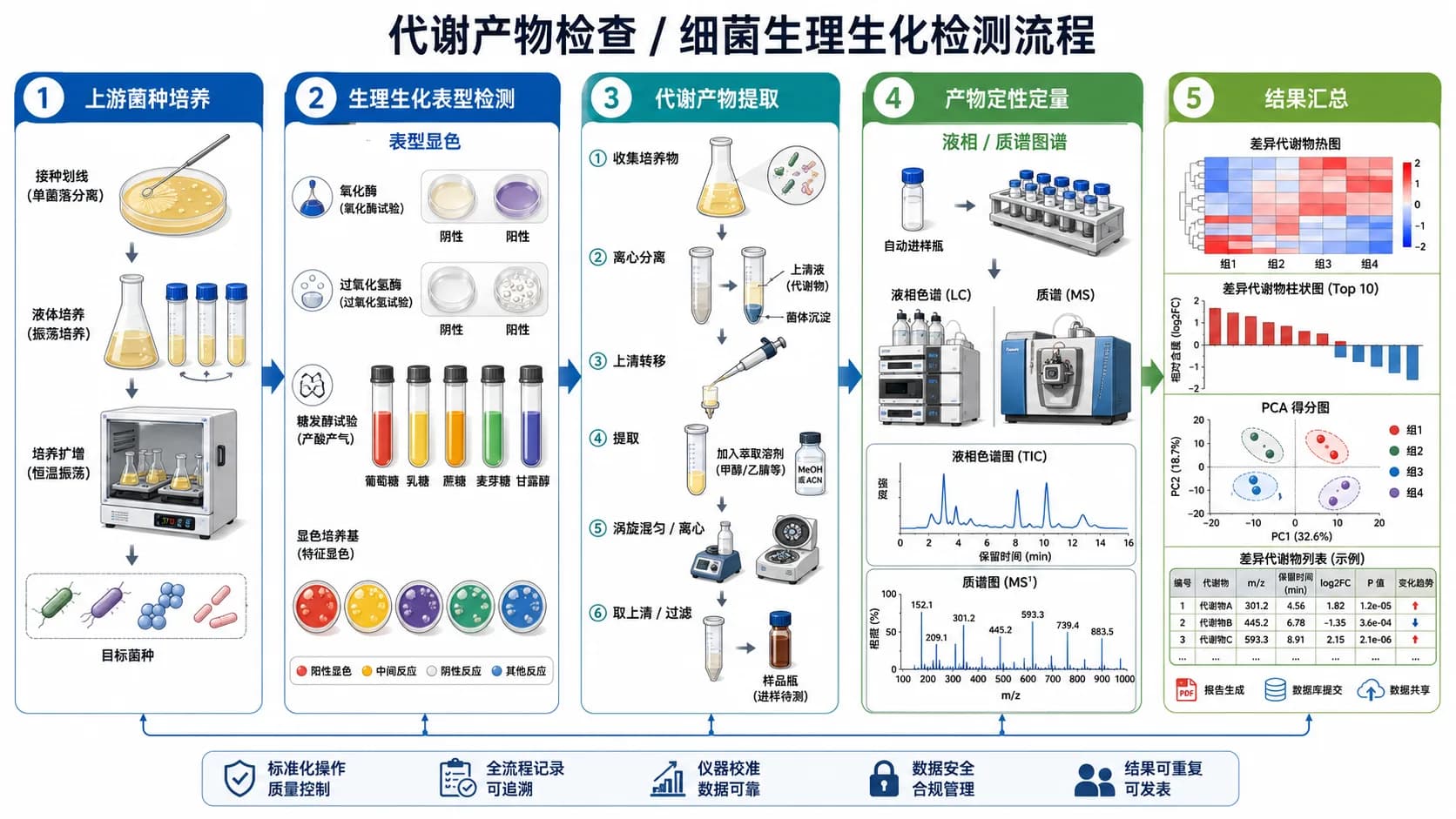 代谢产物检查细菌生理生化检测