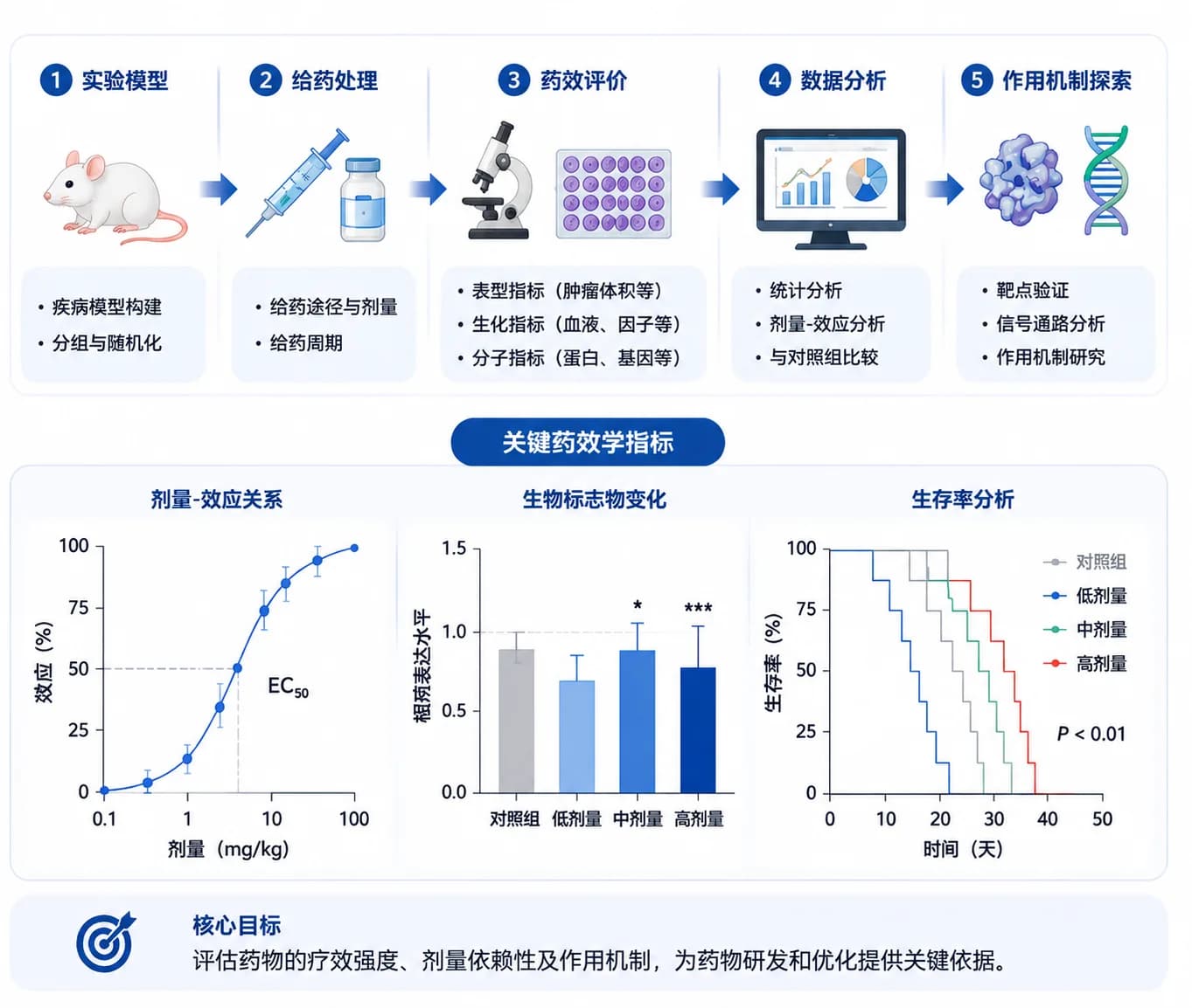 药效学