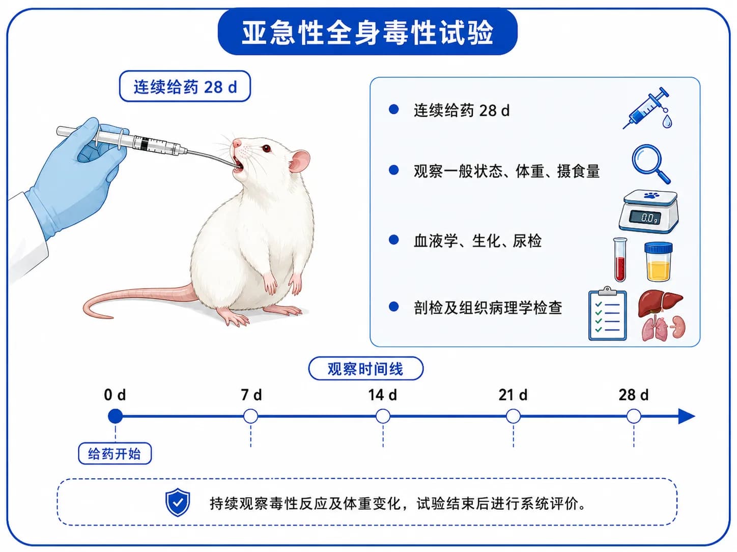 亚急性全身毒性