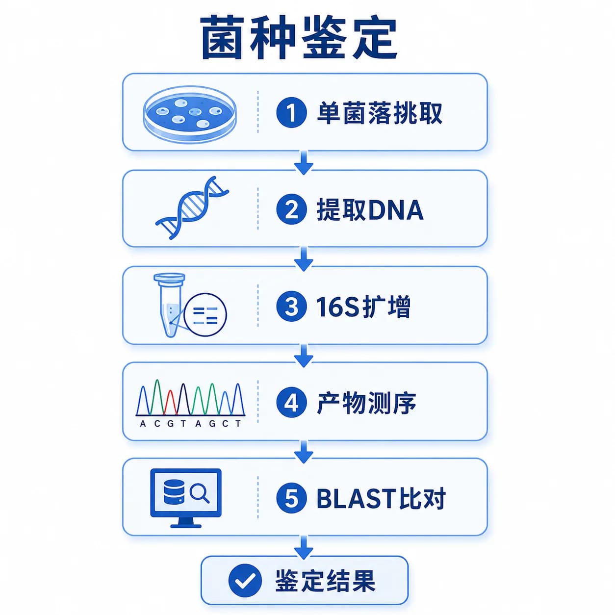 菌种鉴定