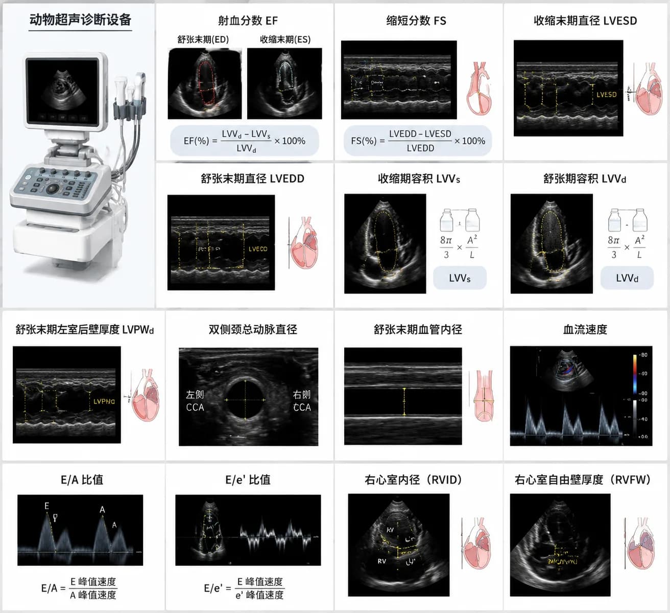 动物超声诊断设备
