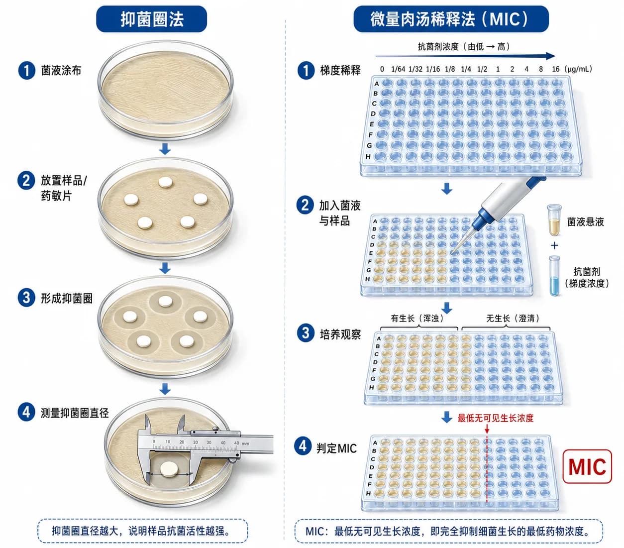 抗菌性能