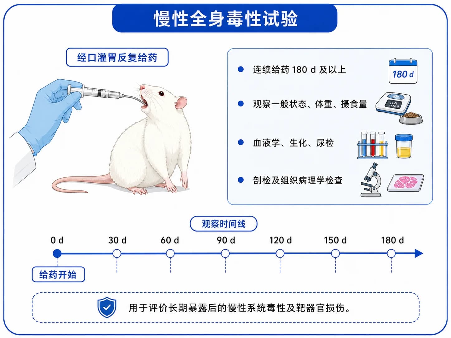 慢性全身毒性实验