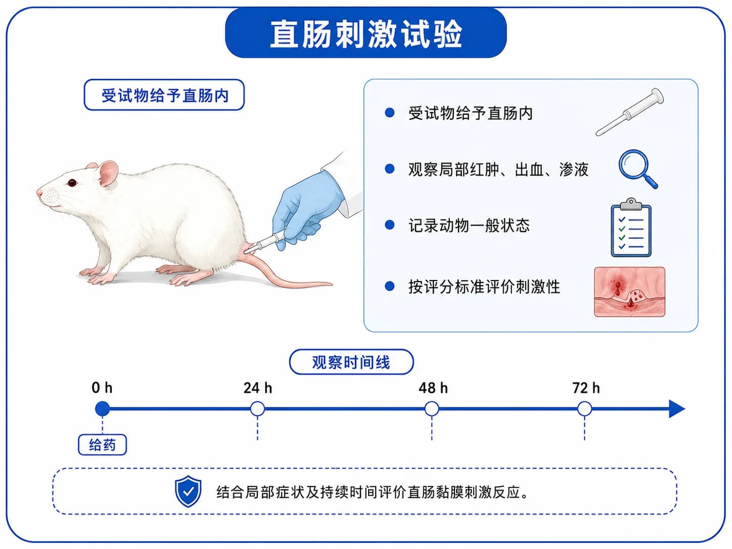 直肠刺激实验