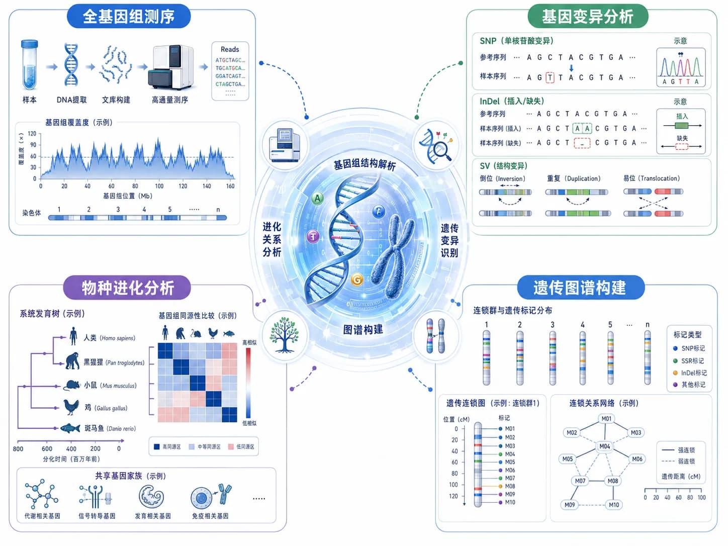 基因组学