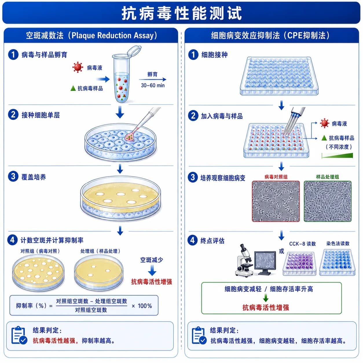 抗病毒性能检测