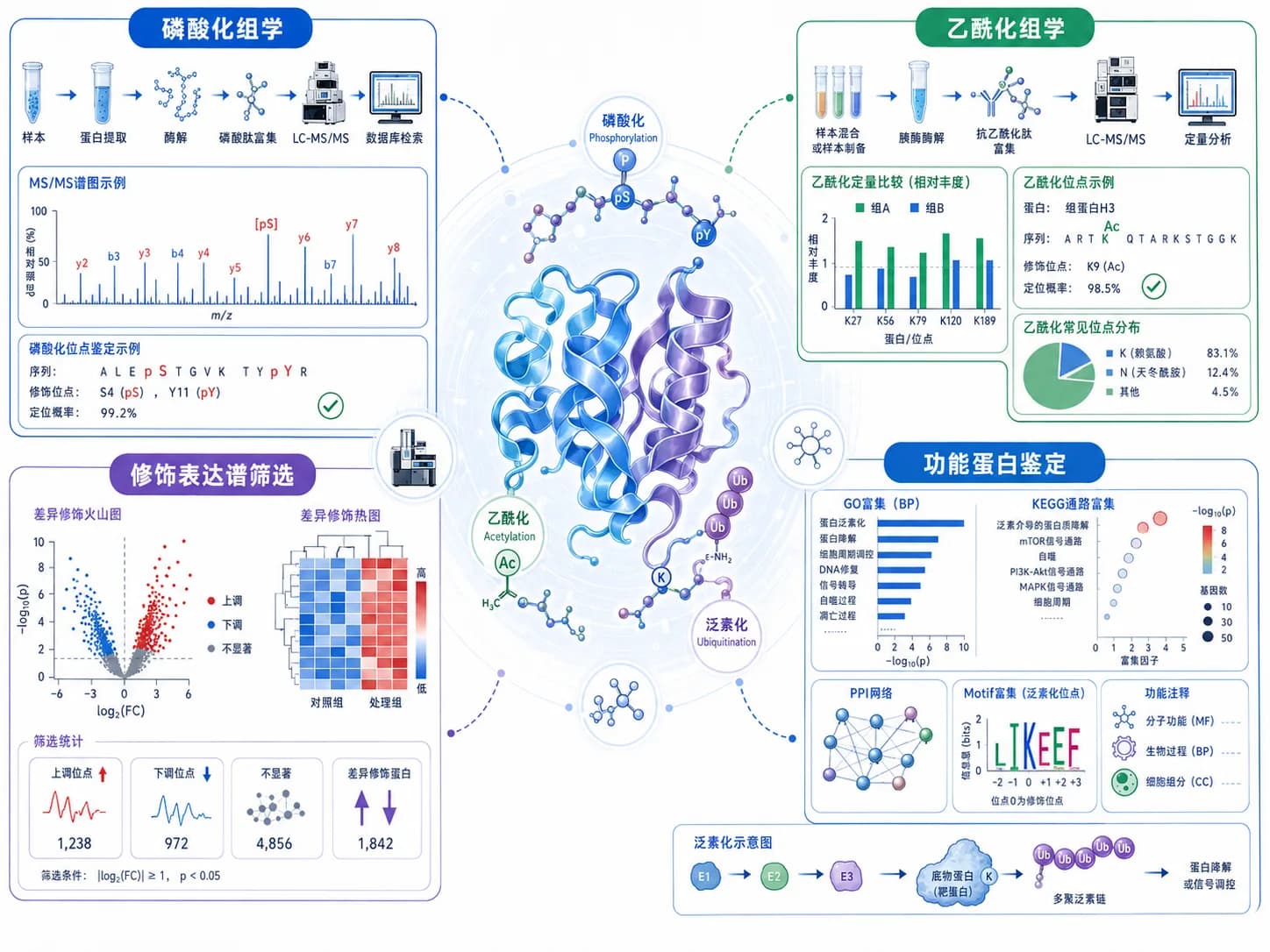 翻译后修饰组学