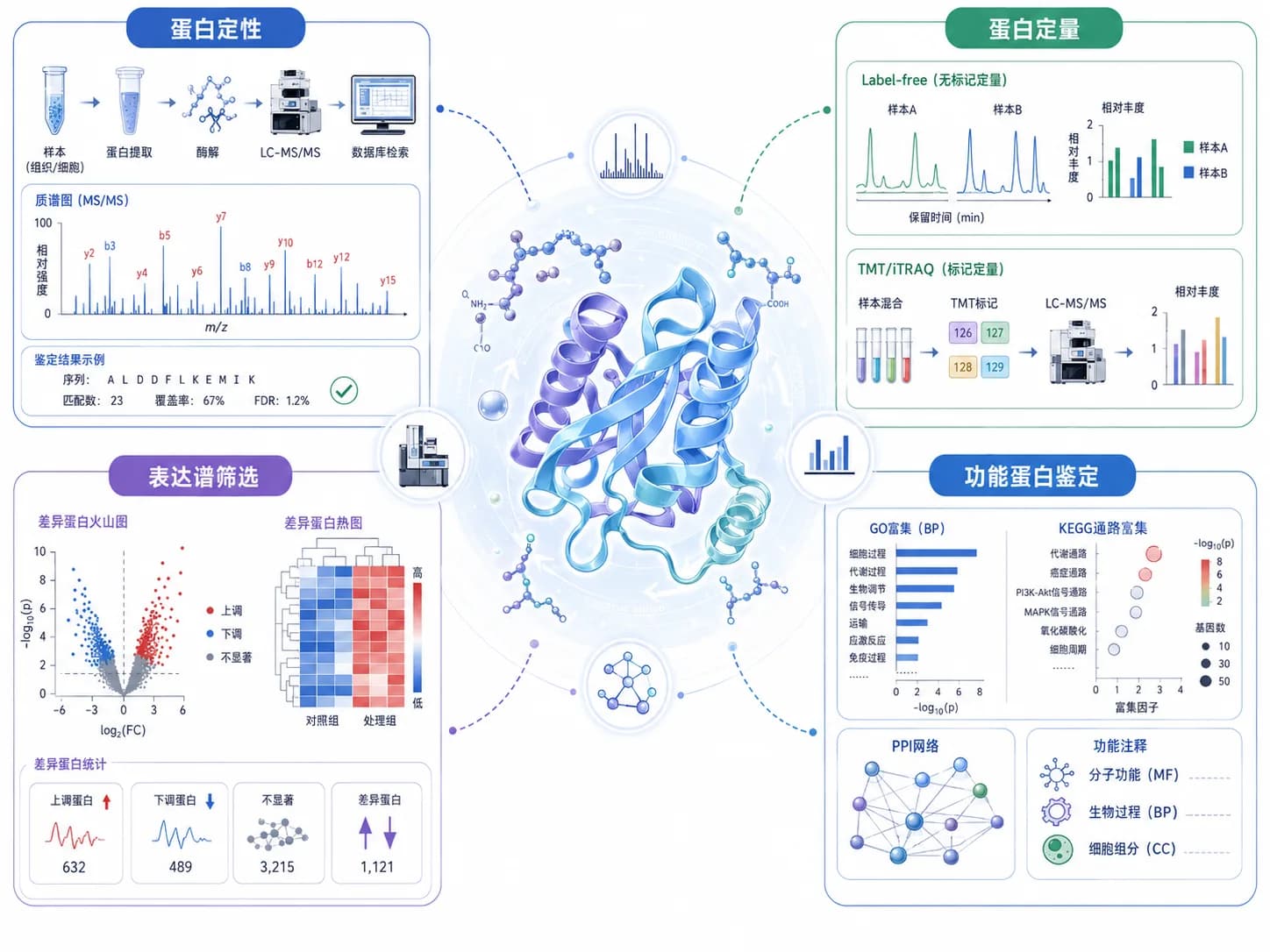 蛋白组学