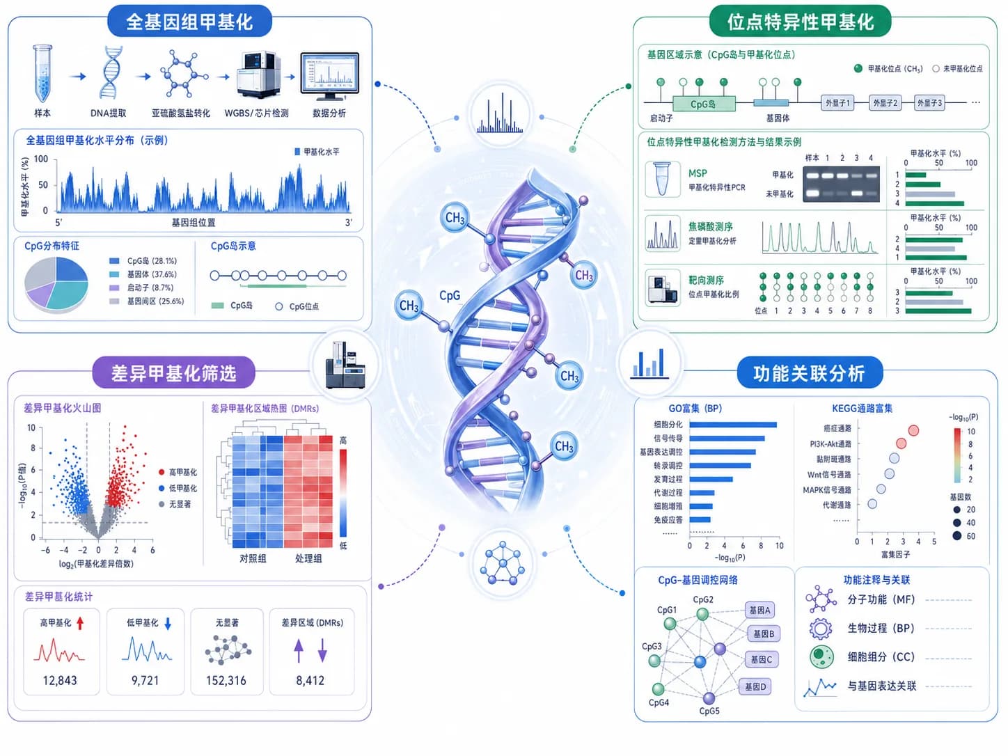 DNA 甲基化组化