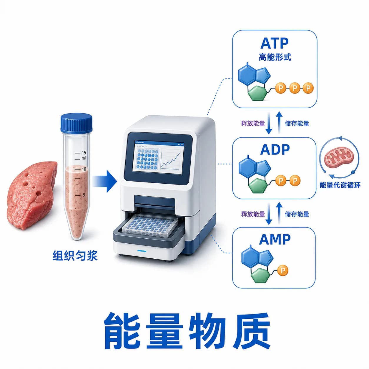 能量物质