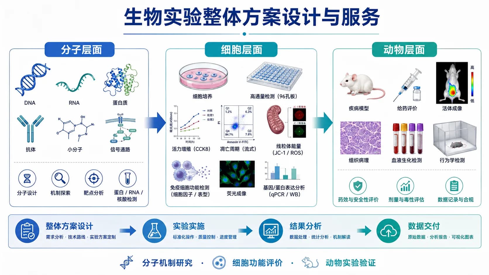 生物实验方案设计与技术服务