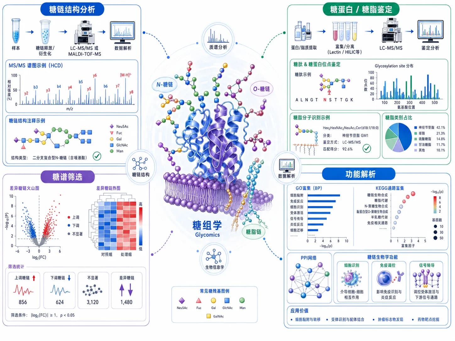 糖组学