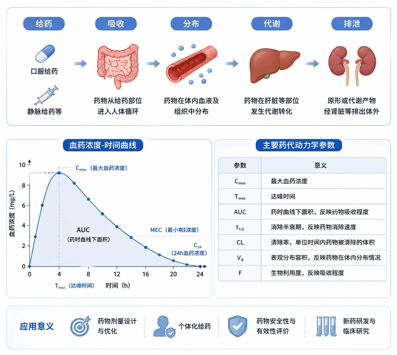 药代动力学