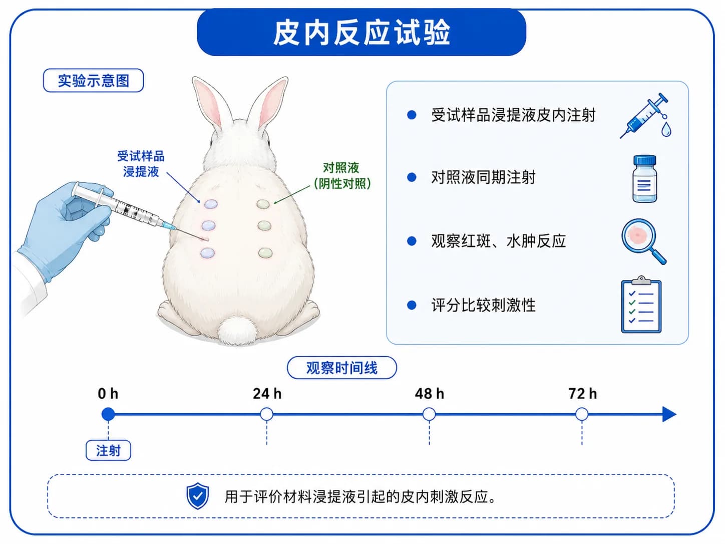 皮内反应实验